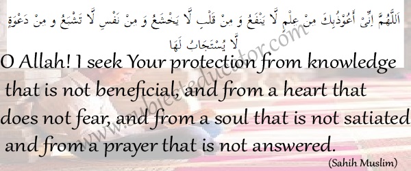 supplication for knowledge