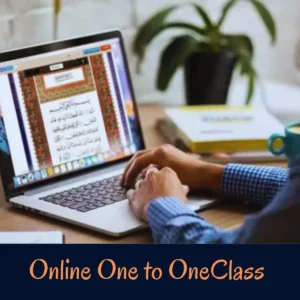 online one to one class